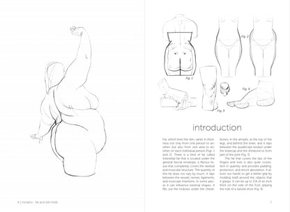 Rocky Nook - Morpho: Fat And Skin Folds
