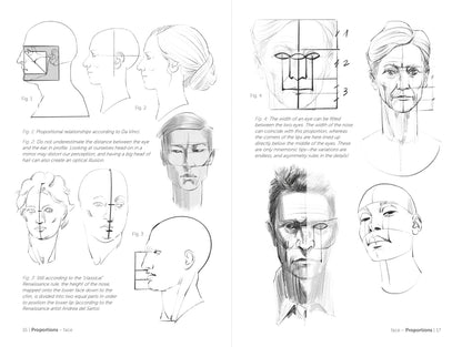 Rocky Nook - Morpho: Face, Head, And Neck