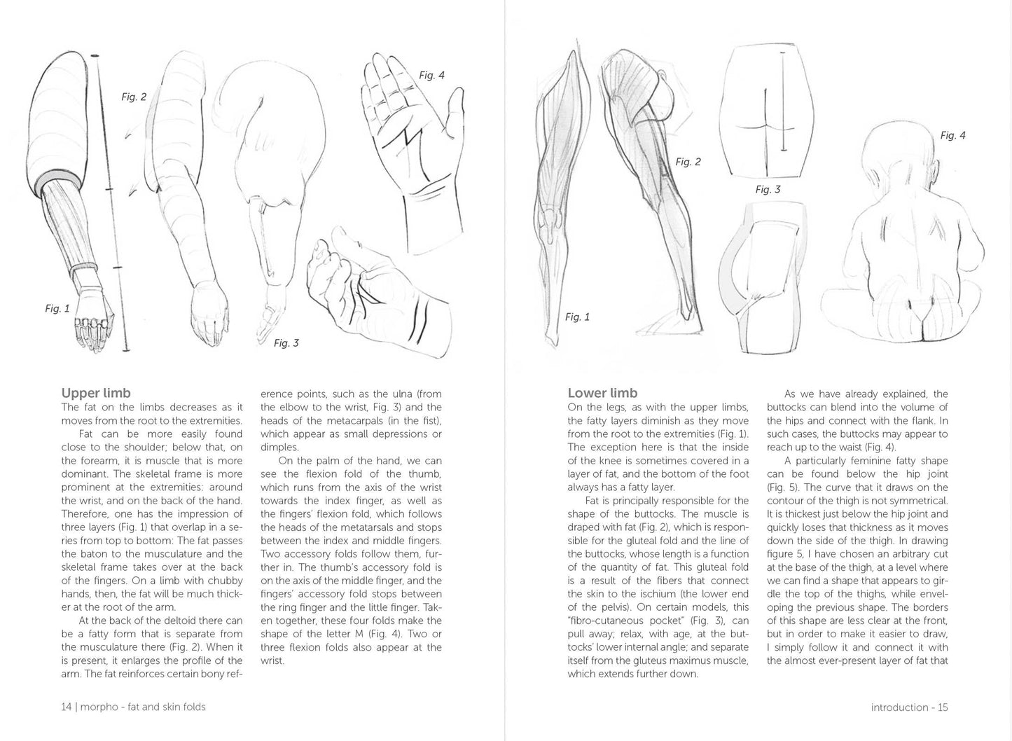 Rocky Nook - Morpho: Fat And Skin Folds