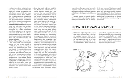 Rocky Nook - The Pen And Ink Drawing Guide