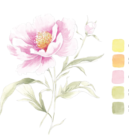 Willow Wolfe USA - Blooms & Bouquets Watercolor Workbook by Willow Wolfe