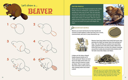 Rocky Nook - The Nature Explorer's Drawing Guide For Kids
