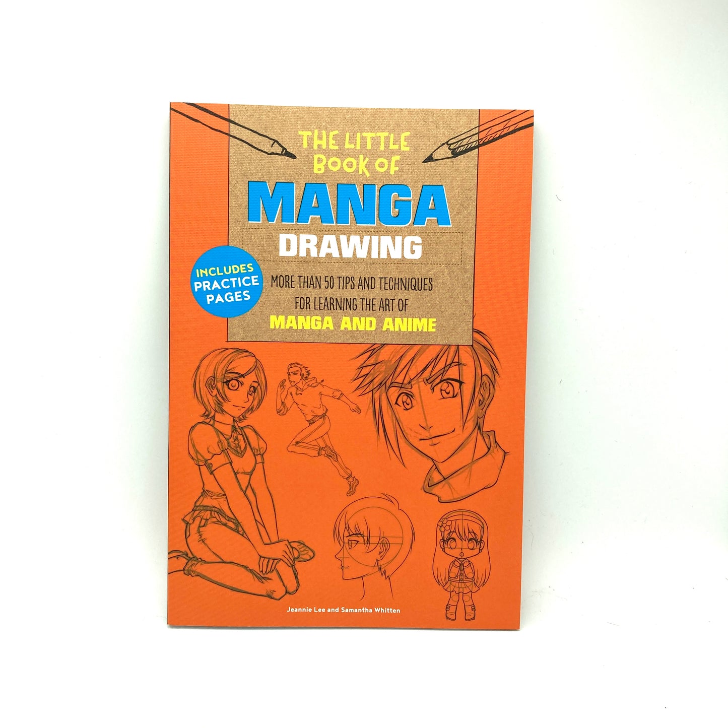 Manga Illustration / Alcohol Markers kit