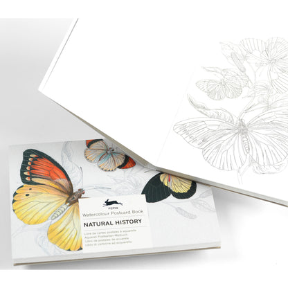 Pepin Postcard Colouring Book
