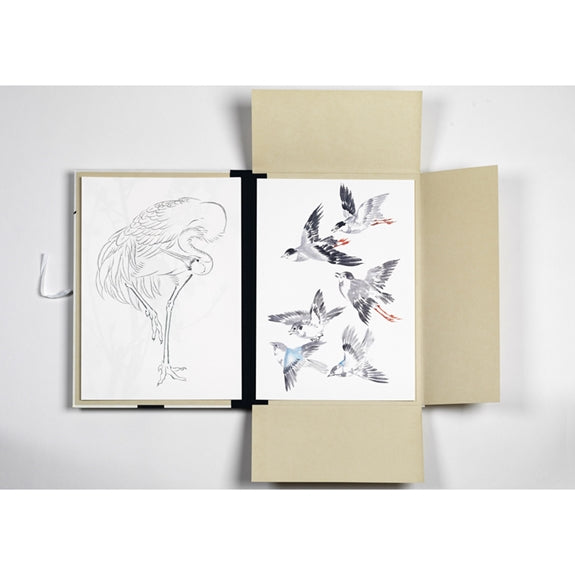 Pepin Artist Portfolio