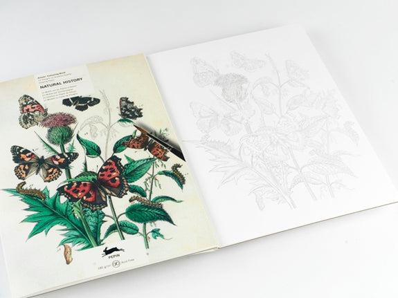 Pepin Artists' Coloring Book