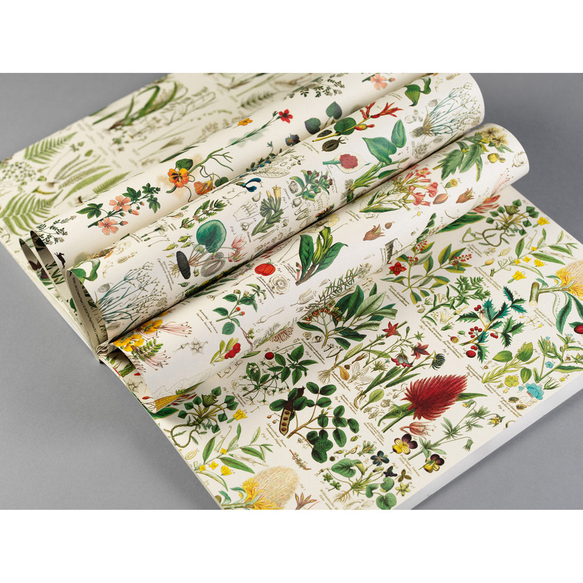 Pepin Gift & Creative Papers
