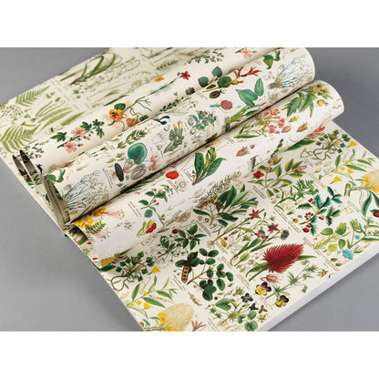 Pepin Gift & Creative Papers