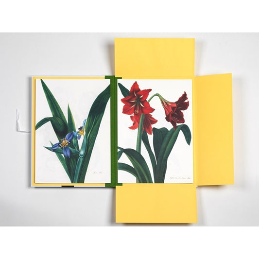 Pepin Artist Portfolio