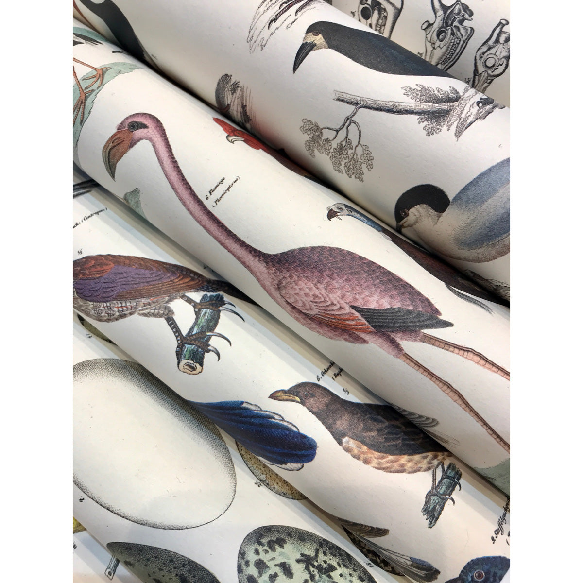 Pepin Gift & Creative Papers