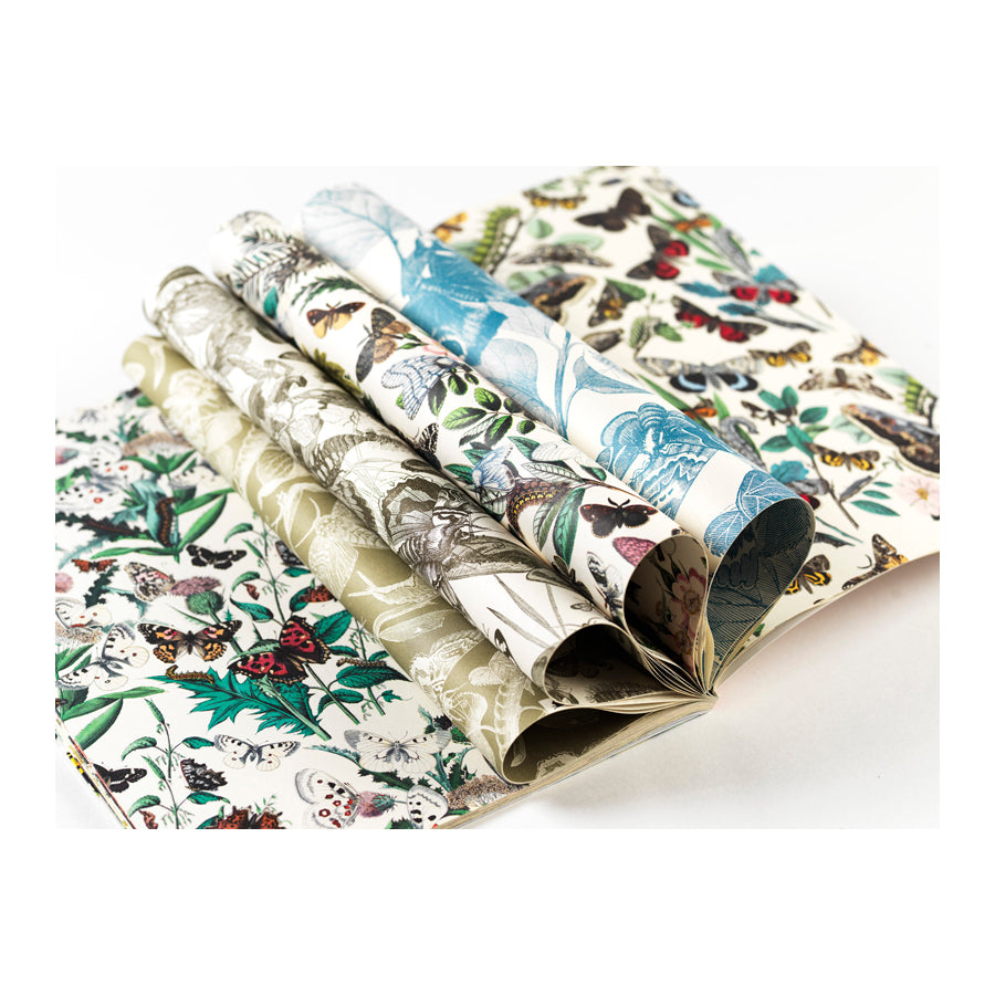 Pepin Gift & Creative Papers