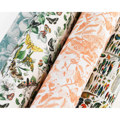 Pepin Gift & Creative Papers