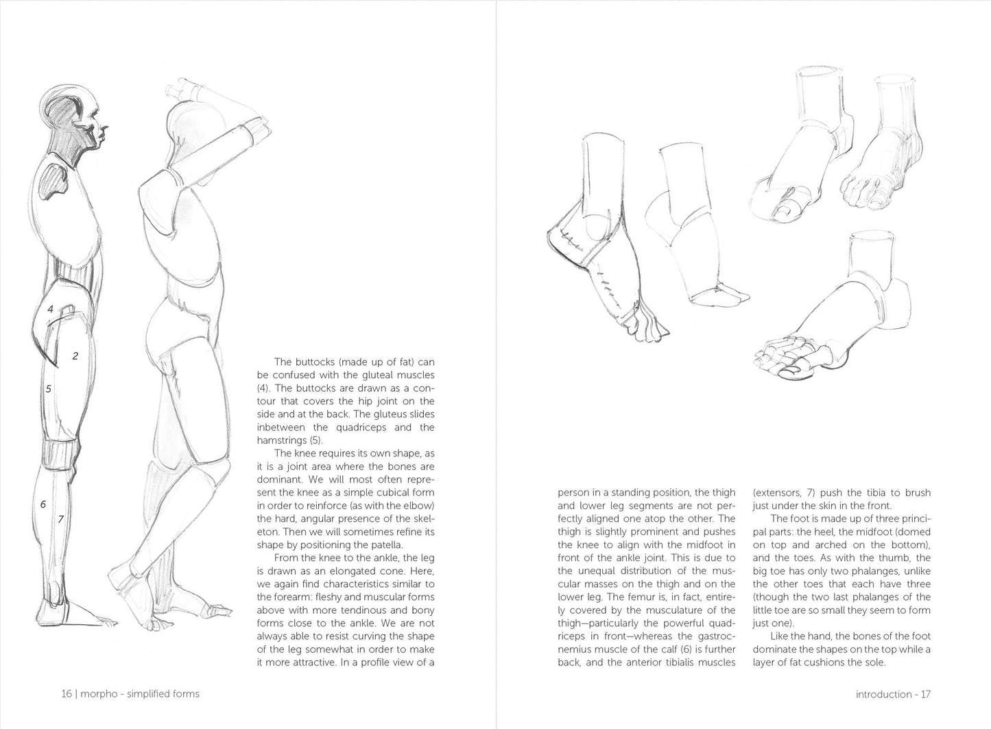 Rocky Nook - Morpho: Simplified Forms
