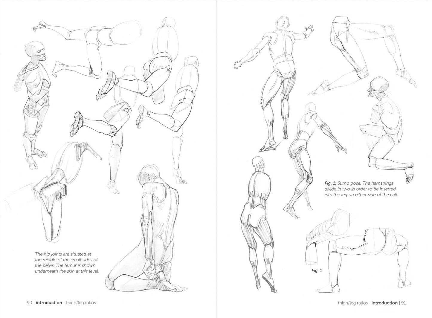 Rocky Nook - Morpho: Simplified Forms