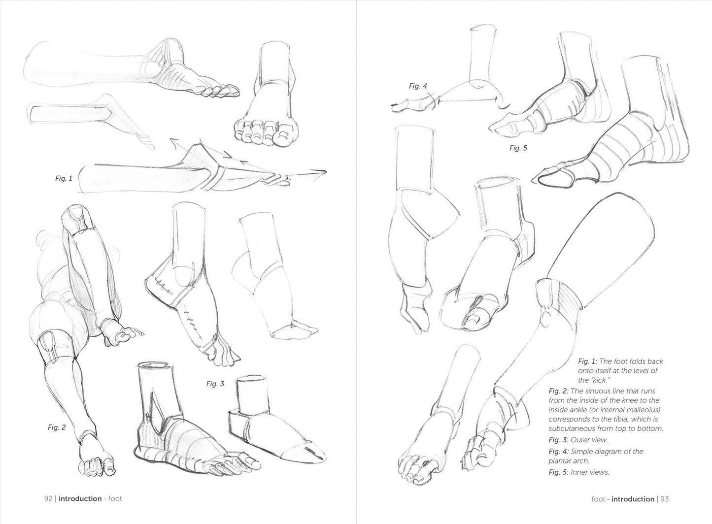 Rocky Nook - Morpho: Simplified Forms