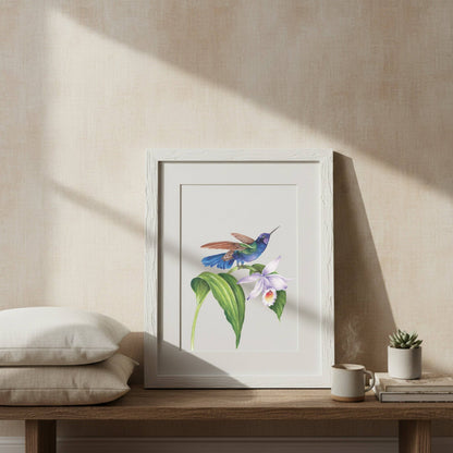 Willow Wolfe USA - Vintage Hummingbirds Oil Workbook by Willow Wolfe - Limited Quantities