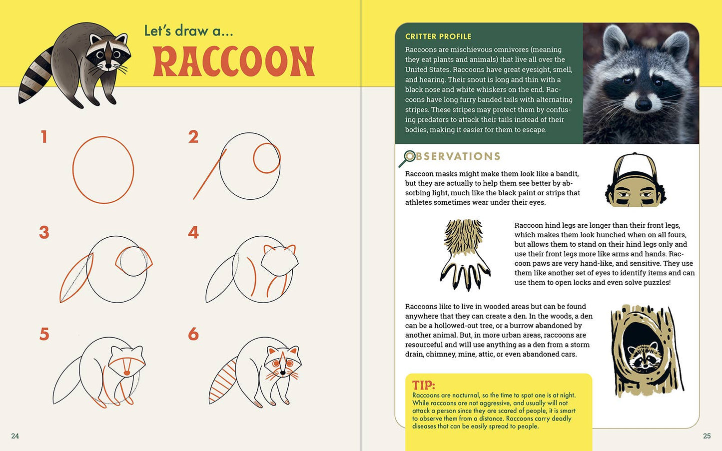 Rocky Nook - The Nature Explorer's Drawing Guide For Kids