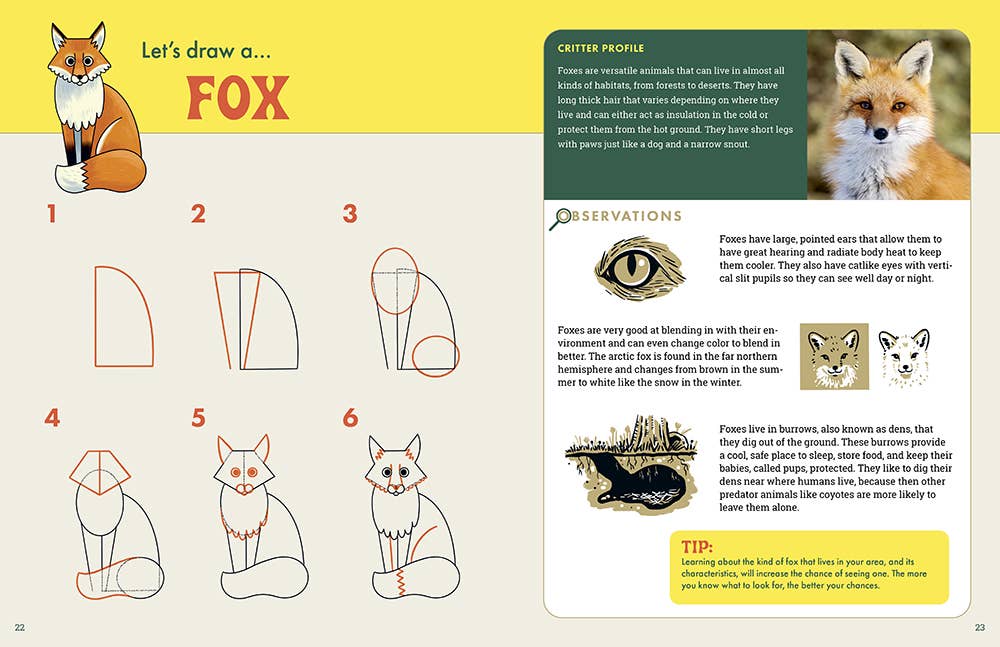 Rocky Nook - The Nature Explorer's Drawing Guide For Kids