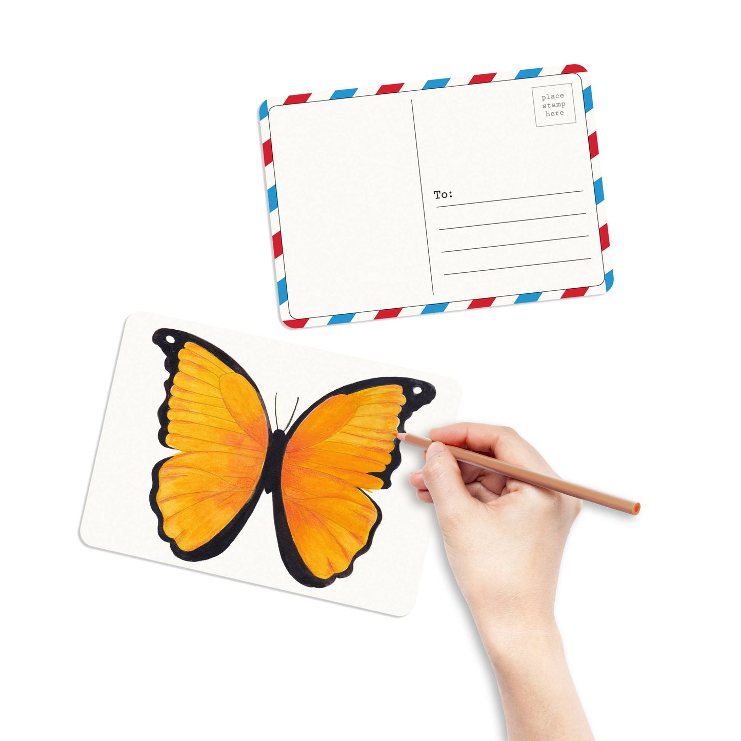 elseware unplug / eco-kids - Coloring Postcards w/ 6 Butterfly & Moth Designs (30cards)