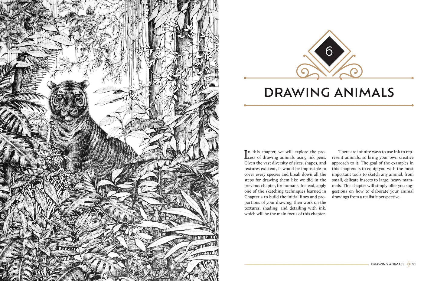 Rocky Nook - The Pen And Ink Drawing Guide