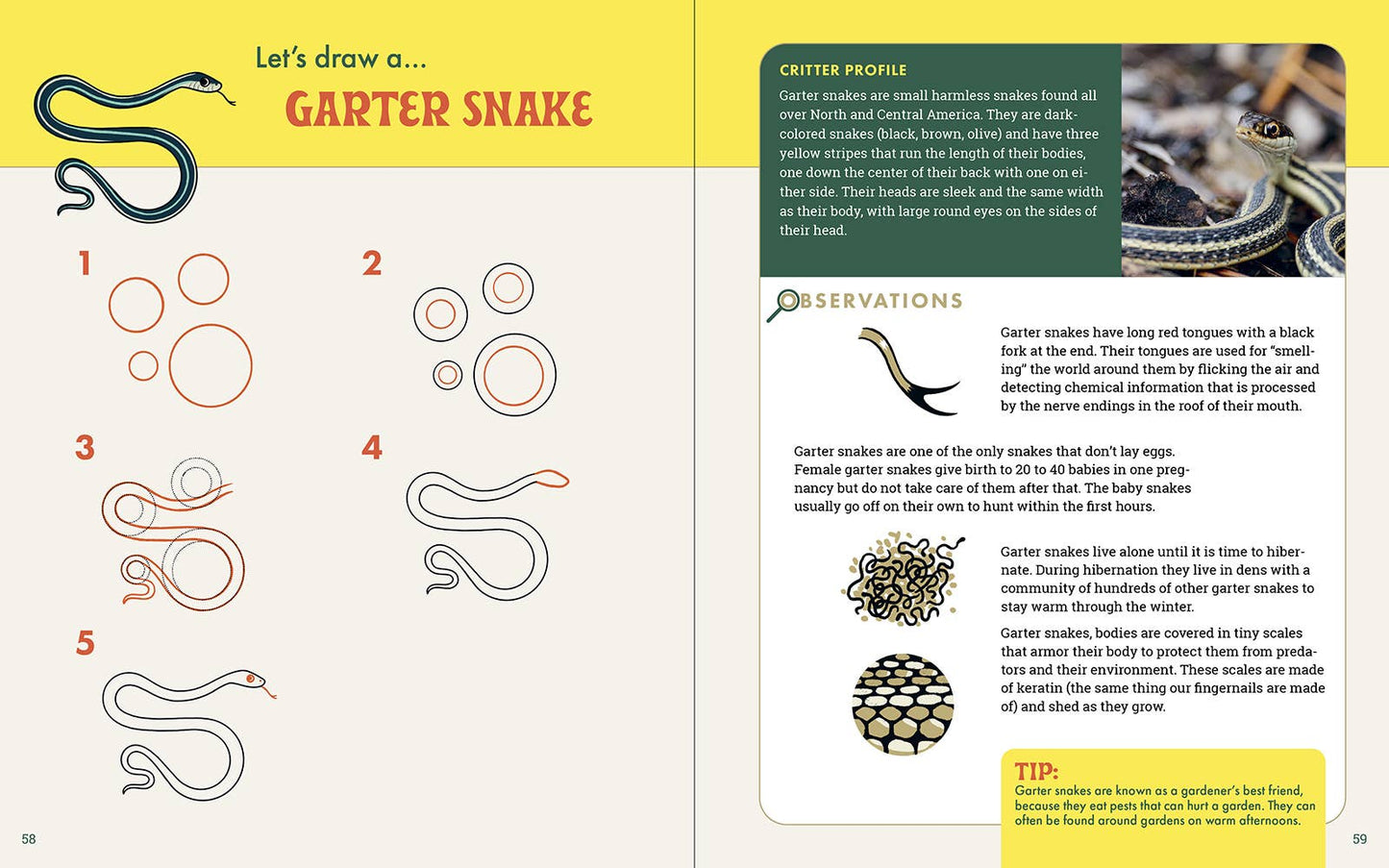 Rocky Nook - The Nature Explorer's Drawing Guide For Kids
