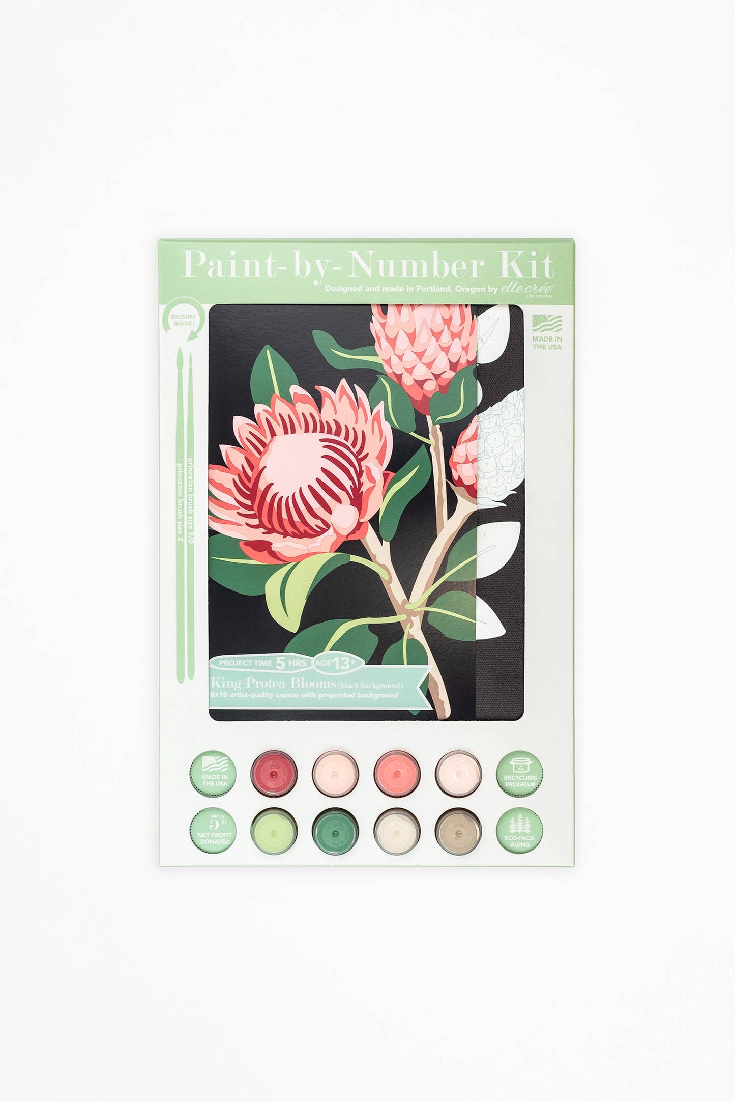 Elle Crée - King Protea Blooms (black background) Paint-by-Number Kit