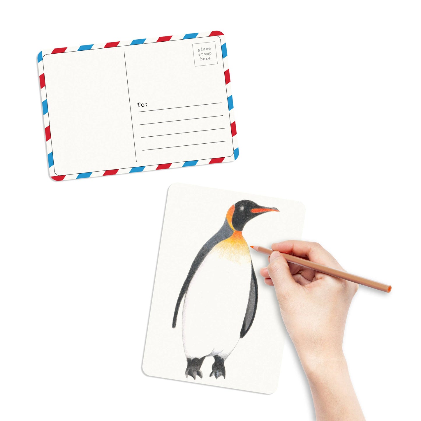 elseware unplug / eco-kids - Coloring Postcards w/ 6 Bird Designs (30cards) Stationary