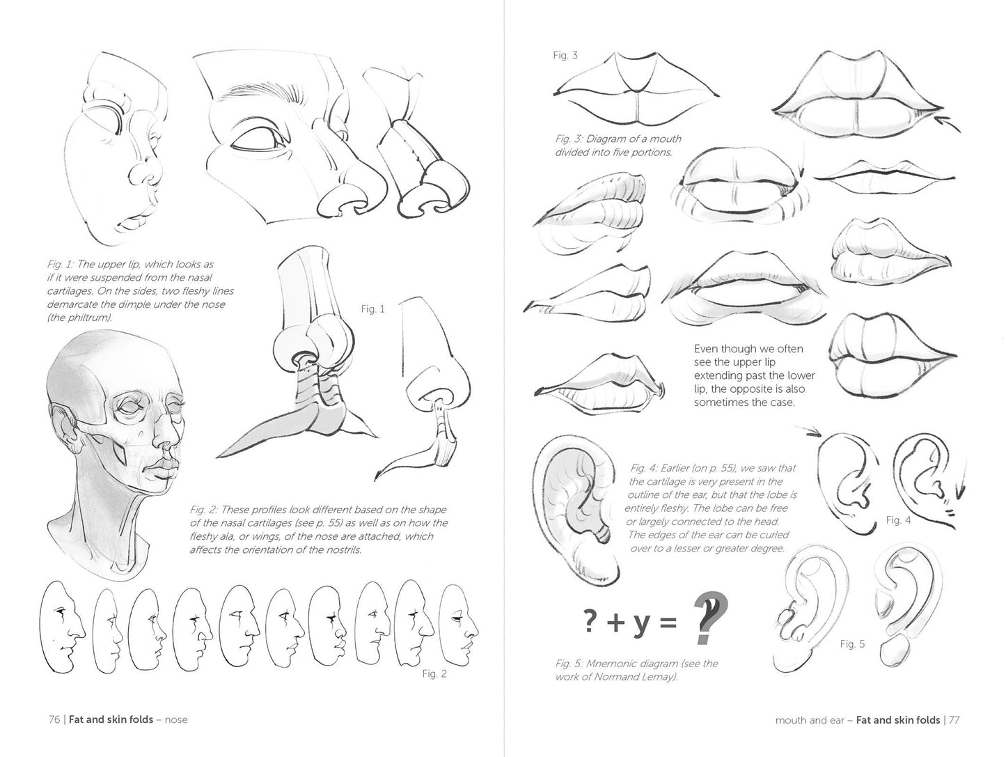 Rocky Nook - Morpho: Face, Head, And Neck