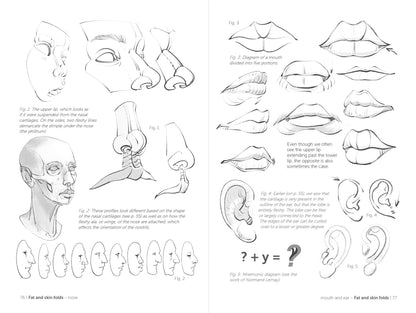 Rocky Nook - Morpho: Face, Head, And Neck