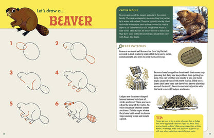 Rocky Nook - The Nature Explorer's Drawing Guide For Kids