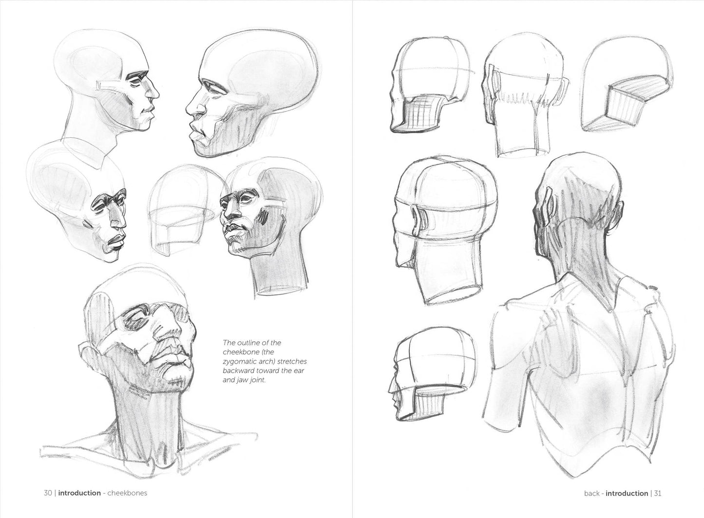 Rocky Nook - Morpho: Simplified Forms