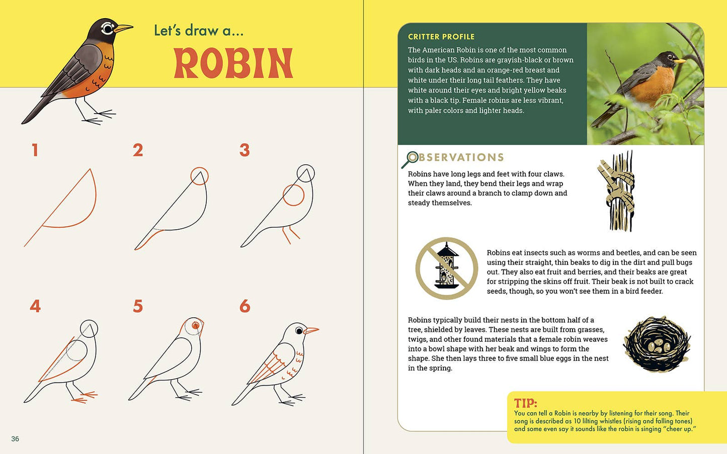 Rocky Nook - The Nature Explorer's Drawing Guide For Kids