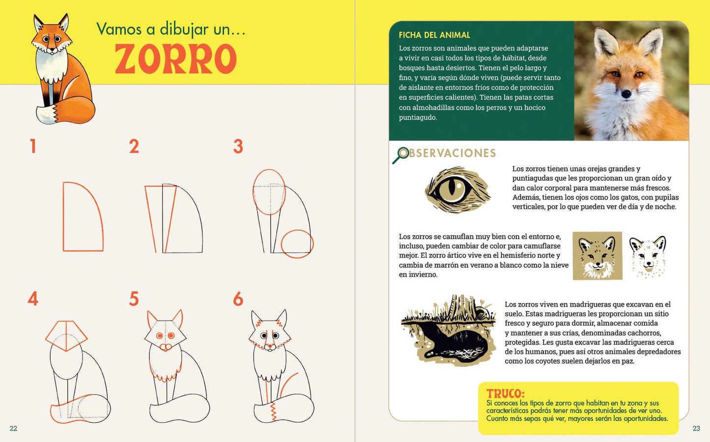 Rocky Nook - Cuaderno de Dibujo Para Exploradores de la Naturaleza