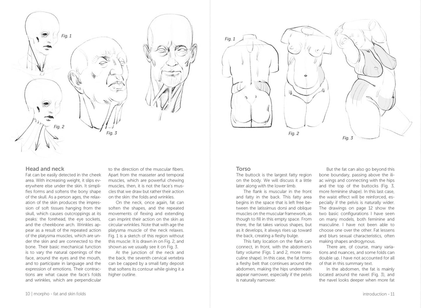 Rocky Nook - Morpho: Fat And Skin Folds