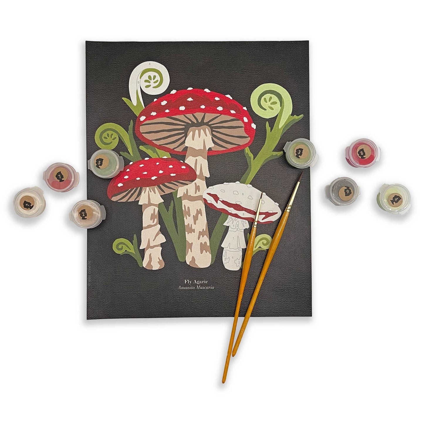 Elle Crée - Fly Agaric Mushrooms Paint-by-Number Kit