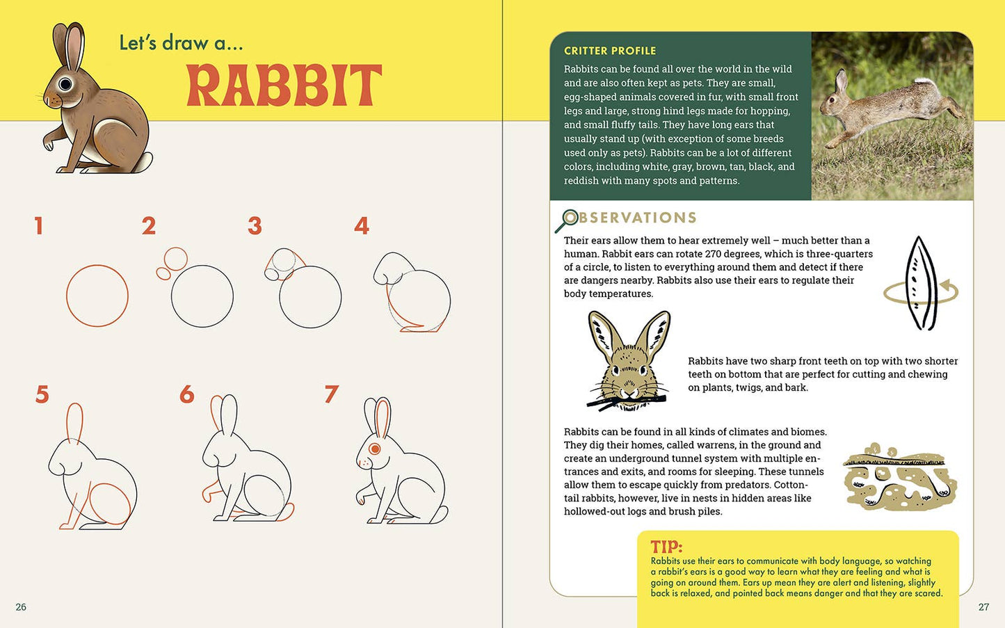 Rocky Nook - The Nature Explorer's Drawing Guide For Kids
