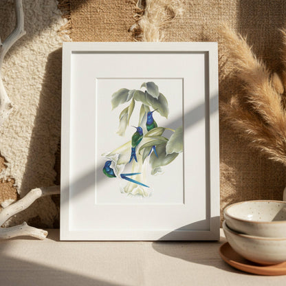 Willow Wolfe USA - Vintage Hummingbirds Oil Workbook by Willow Wolfe - Limited Quantities