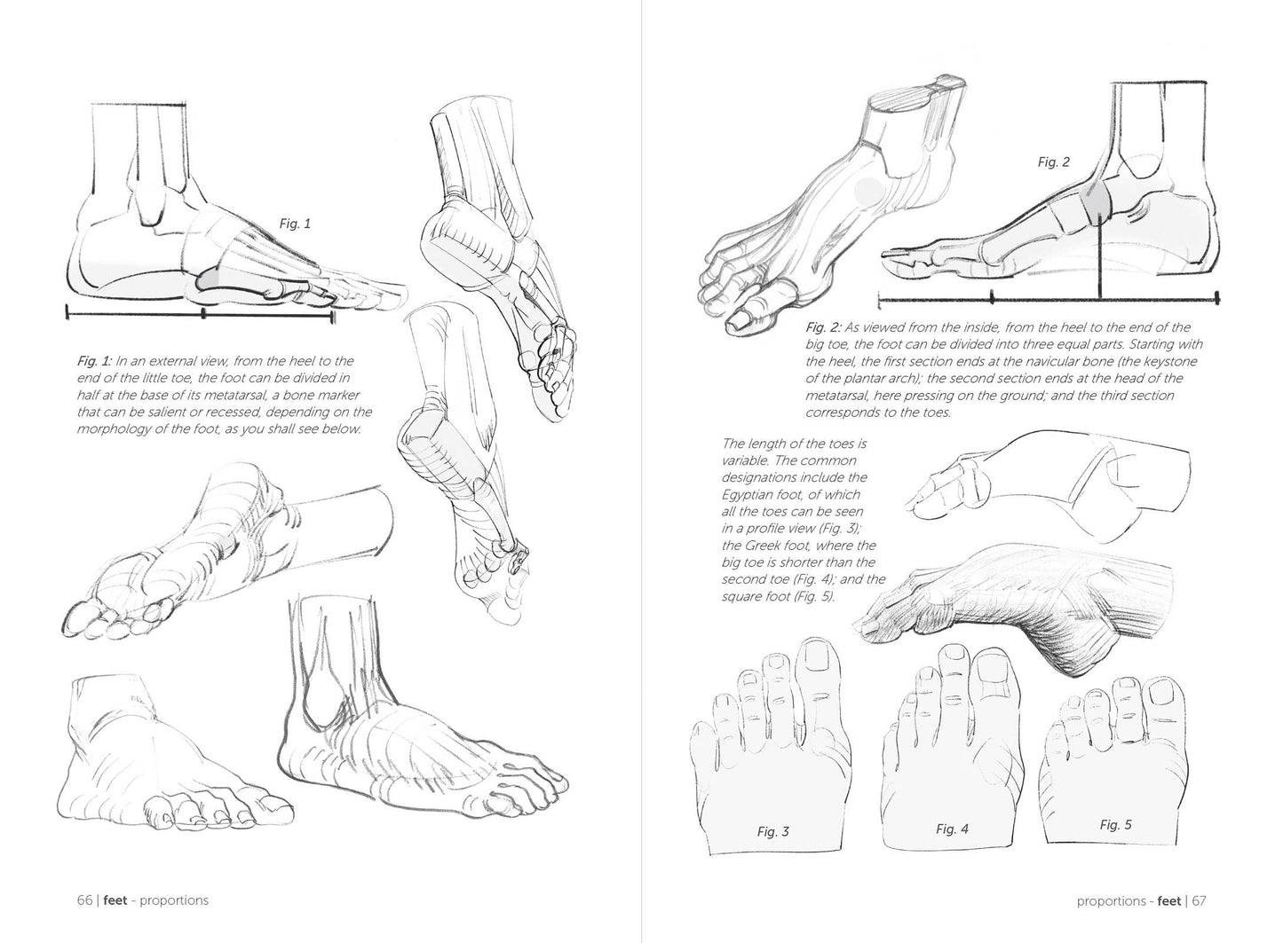Rocky Nook - Morpho: Hands And Feet
