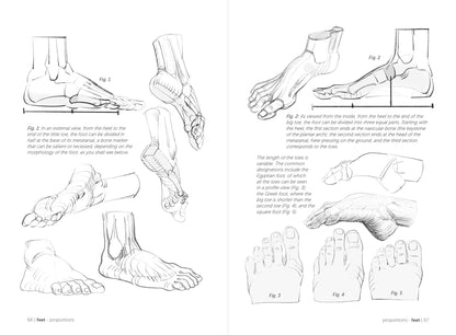 Rocky Nook - Morpho: Hands And Feet