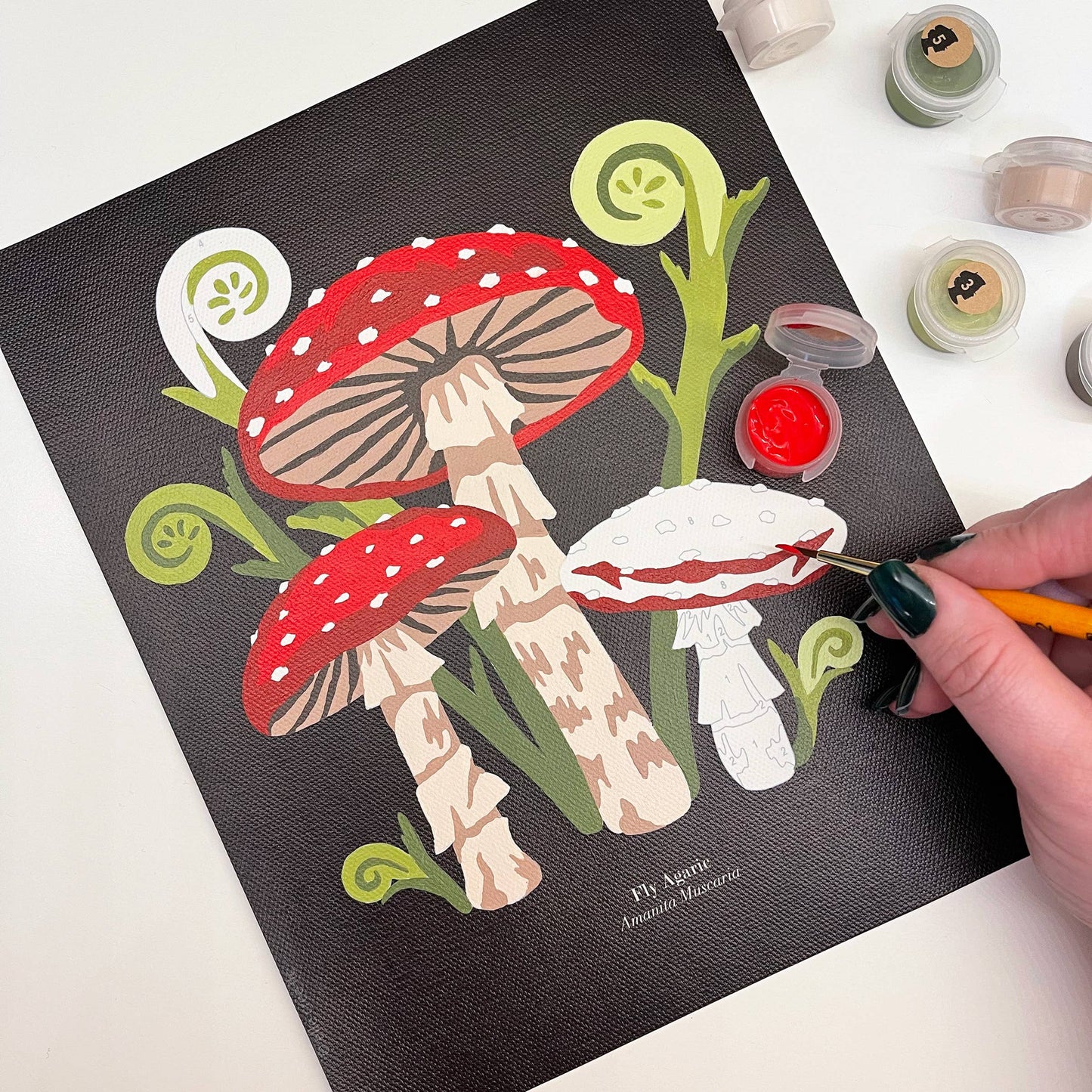 Elle Crée - Fly Agaric Mushrooms Paint-by-Number Kit