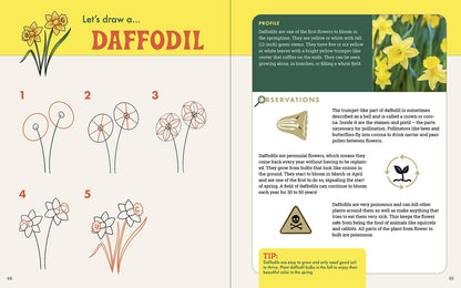 Rocky Nook - The Nature Explorer's Drawing Guide For Kids